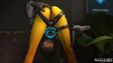 合約及觀眾 合約及觀眾