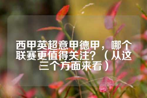 被提起的一